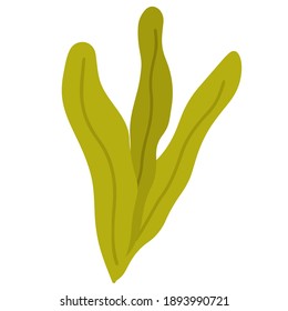 Plants, leaves, green bush, algae. Isolated element. Vector cartoon illustration. Drawn by hands.