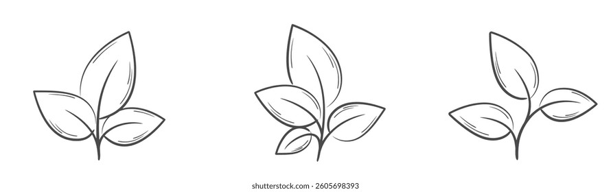 Plants with leaves line illustrations. Nature, spring and planting design elements. Isolated vector images