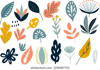 plants, leaves on white background, vector