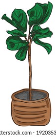 plants line colour drawings illustrator