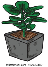 plants line colour drawings illustrator