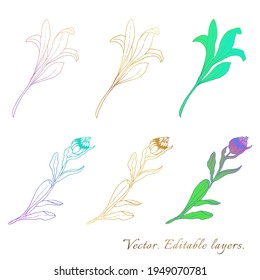 Plants line gold vectors. Collection set of botanical design elements flowers, leaves, buds. Ideal for logo designs, brands, invitations and cards.