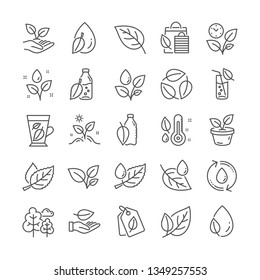 Plants line icons. Mint leaf, Humidity thermometer and Growing plants icons. Bottle with mint water, Nature care, leaf on hand. Gardening new flower, environment, water drop and thermometer. Vector