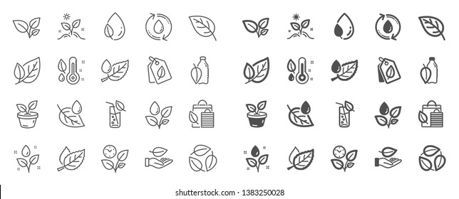 Plants line icons. Mint leaf, Growing plants and Humidity thermometer icons. Bottle with mint water, Nature care, leaf on hand. Gardening new flower, environment, water drop and thermometer. Vector