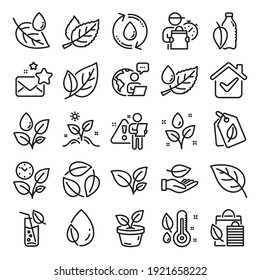 Plants line icons. Mint leaf, Growing plants and Humidity thermometer icons. Bottle with mint water, Nature care, leaf on hand. Gardening new flower, environment, water drop and thermometer. Vector