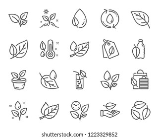 Plants line icons. Set of Mint leaf, Growing plants and Humidity thermometer icons. Bottle with mint water, Nature care and leaf on hand. Gardening new flower, environment, water drop. Vector