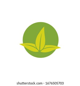 Plants Logo Design Inspiration, Vector illustration.