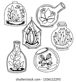 plants, mini greenhouse, set of black and white sketches, hand drawing, vector illustration