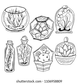 plants, mini greenhouse, set of black and white sketches, hand drawing, vector illustration