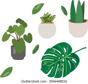 plantas, minimalismo verde, macetas de ilustraciones vectoriales, hojas, ilustración plana, plantas y flores en una olla