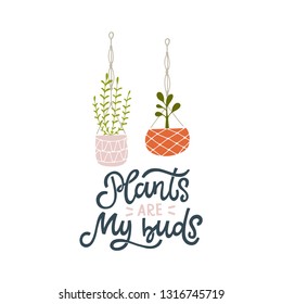 Plants are my buds. Hand lettered gardening quote with two plants in hanging pots. Vector illustration. Isolated on white background 