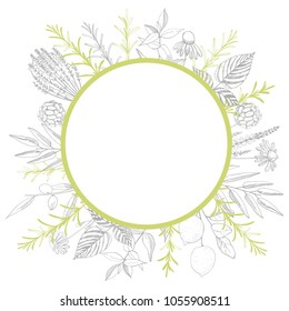Plants for natural cosmetics. Organic cosmetics. Vector frame.