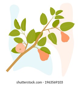 Plants. Natural plant elements in a flat simple style. minimalism. Delicate colors. The poster. vector.