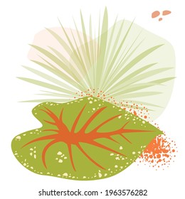 Plants. Natural plant elements in a flat simple style. minimalism. Delicate colors. The poster. vector.