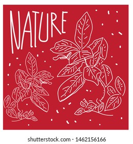 plants for nature world 1