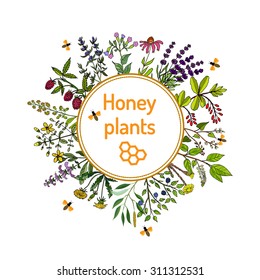 Plants - nectar sources for honey bees. Vector set
