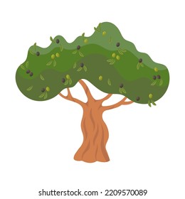 Plants and nutrition concept. Colorful olive tree flat for web design. Cartoon olive tree, oil and branches with olives isolated vector illustration