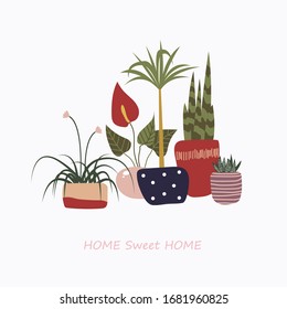  Plantas. Objetos de un hogar dulce. Flores caseras. Minimalismo, abstracción, tendencia.
