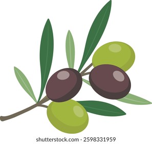 Plants
Olive
Edible olive fruit