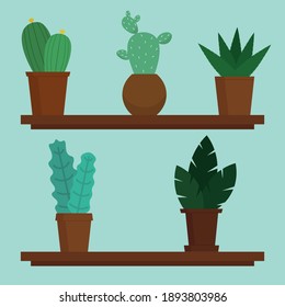 plants on the shelf illustration in flat style 