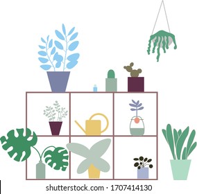 Plants on shelf vector illustration flat