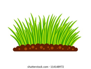 Plants on white background