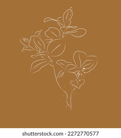 Plants in one continuous line on a beige background in a modern style is a suitable illustration for printing postcards advertising