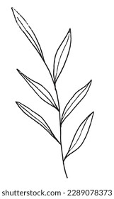 Las plantas delinean la imagen vectorial de la ilustración. 
Plantas dibujadas a mano esbozan ilustraciones de imágenes. 
Icono de logo original simple del dibujo de lápiz de plantas botánicas de diferente tipo.