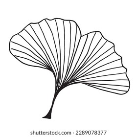 Plants outline illustration vector image. 
Hand drawn plants sketch image artwork. 
Simple original logo icon from pen drawing sketch of botanical plants of different kind.