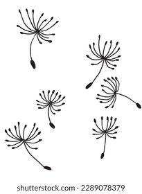 Las plantas delinean la imagen vectorial de la ilustración. 
Plantas dibujadas a mano esbozan ilustraciones de imágenes. 
Icono de logo original simple del dibujo de lápiz de plantas botánicas de diferente tipo.
