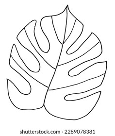 Plants outline illustration vector image. 
Hand drawn plants sketch image artwork. 
Simple original logo icon from pen drawing sketch of botanical plants of different kind.