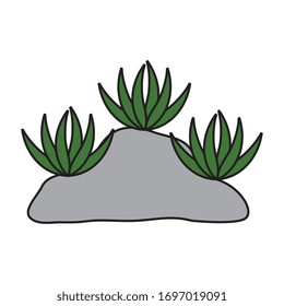 Plants over rock design of Floral nature garden ornament botany decoration beauty and flora theme Vector illustration