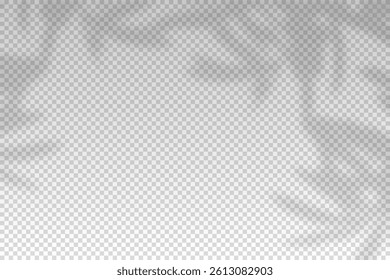 Plants overlay shadow. Reflect light from branches. Sun rays reflection shadows on wall. Reflected shades isolated on transparent background. Horizontal shading design mockup. Vector illustration