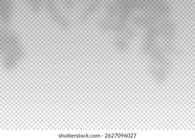 Plants overlay shadow. Reflect light from branches. Sun rays reflection shadows on wall. Reflected shades isolated on transparent background. Horizontal shading design mockup. Vector illustration