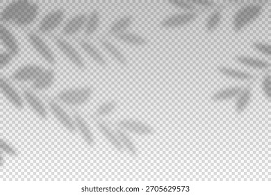 Plantas de sombra superpuesta. Refleja la luz de las ramas. Los rayos del sol reflejan las sombras de la planta en la pared. Tonos reflejados aislados sobre fondo transparente. Maqueta de diseño de sombreado Horizontal. Ilustración vectorial