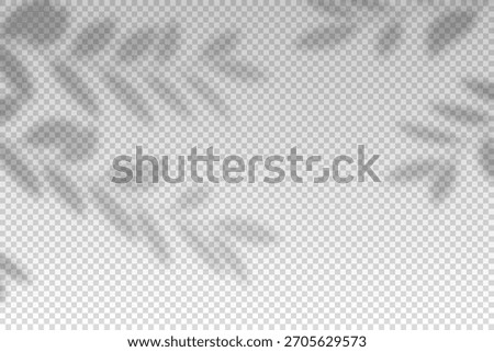 Plants overlay shadow. Reflect light from branchs. Sun rays reflection plant shadows on wall. Reflected shades isolated on transparent background. Horizontal shading design mockup. Vector illustration