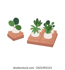 Plants are packed in kraft packaging boxes. Ecological garden. Sustainability concept. Flat vector illustration isolated on white background.