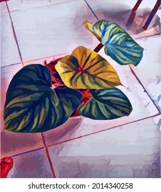 plants painting very beautiful and cool