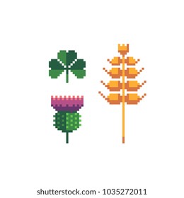 Plants pixel art icons set clover thistle and wheat spikelet isolated vector illustration, element design for sticker, logo, embroidery, mobile app.