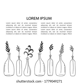 Plants, place for text, hand drawn background. Decorative wallpaper, good for printing. Backdrop, houseplants. Illustration vector, branches in bottles