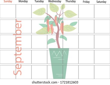 Plants planner of the month. Big plants collection. House plants. Hand drawn vector art. Set of  vector house indoor plant