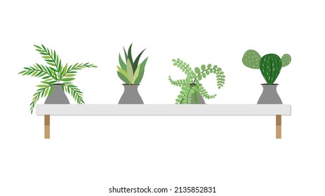 Plants planted in indoor on white wood the house vector , isolated on white background ,  Flat cartoon flat style. illustration Vector EPS 10