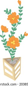 plants portulaca vector.Portulaca flower, cute orange flowers with leaves for object illustration. portulaca on the pot 