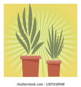 plants pot cartoon