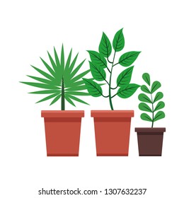 plants pot cartoon