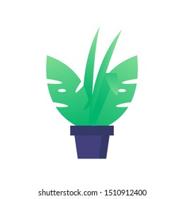 plants in pot icon colour flat