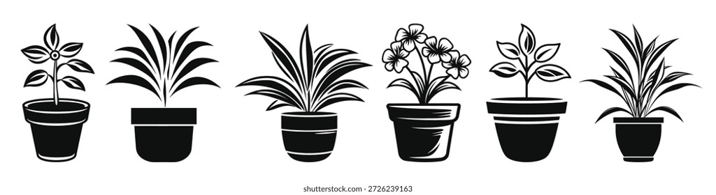 plants pot silhouette black vector set potted plant tree