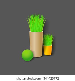 Plants in a pot vase isolated in background. Concept image for interior design and decoration of home and office. Mockup template.