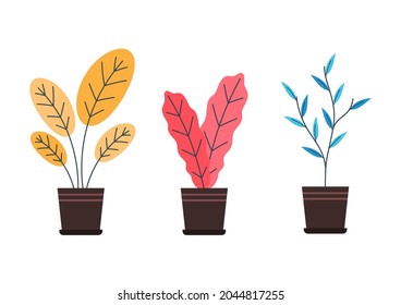 Plants in pot vector. Plants in pot icon vector on white background.