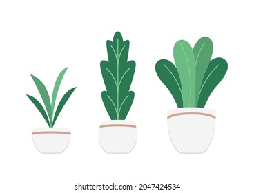 Plants in pot vector. Plants in pot icon vector on white background.